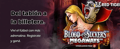 Experiencia de juego en Roobet Casino